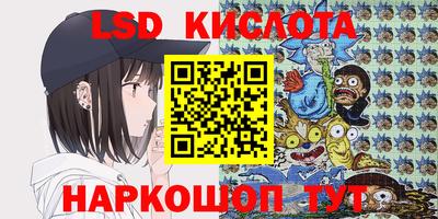 индика Гусь-Хрустальный