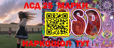 индика Гусь-Хрустальный