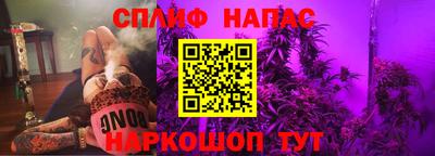 индика Гусиноозёрск