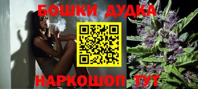 индика Гусиноозёрск