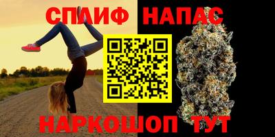 индика Гусиноозёрск