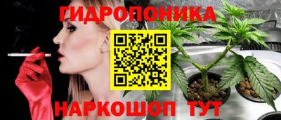 индика Гусь-Хрустальный