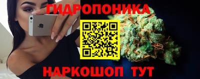 индика Гусь-Хрустальный